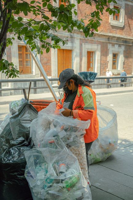 A woman wearing an orange high-visibility jacket, a dark cap, and a face mask is standing on a city sidewalk, sorting through a collection of large, black and transparent plastic rubbish bags filled with waste. She appears to be an employee of House Clearance Pimlico, engaged in private waste collection or rubbish removal. The bags contain various types of waste, including plastic bottles and general household refuse, and are stacked on the pavement next to her. In the background, there is a historic brick building with several windows framed in white, and a metal railing along the sidewalk. Overhanging leafy branches from a nearby tree cast dappled sunlight onto the scene, creating a natural and somewhat shaded environment. The overall setting suggests an on-site waste clearance activity in a residential or commercial area, part of an alternative rubbish disposal service provided by House Clearance Pimlico, situated near Tate Britain in Pimlico, London.